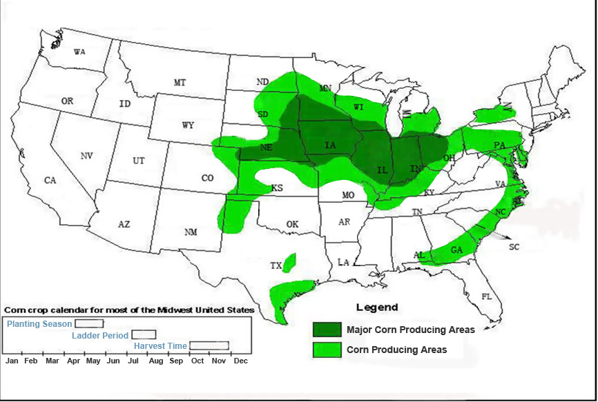 Corn Planting Area in America