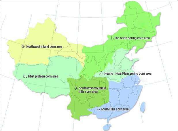 corn in china