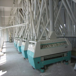 flour processing