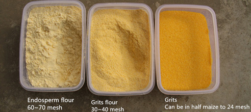 maize flour and maize grits