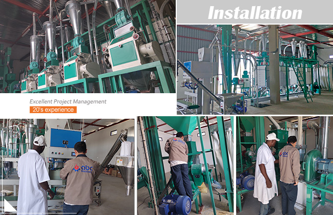 setting up maize flour mill plant