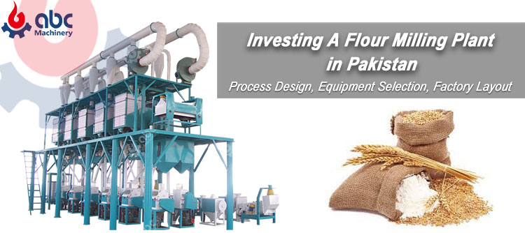 How to Start a Wheat Flour Business in Pakistan 