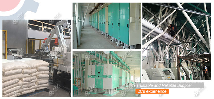 Successful Complete Wheat Flour Mill Line Projects