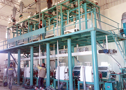 60 ton/day Flour Mill Plant