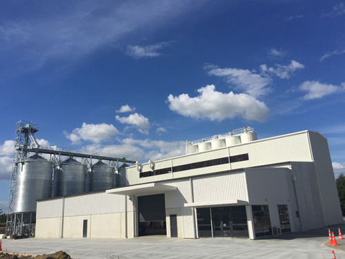 Wheat Flour Mill Project Completion in New Zealand