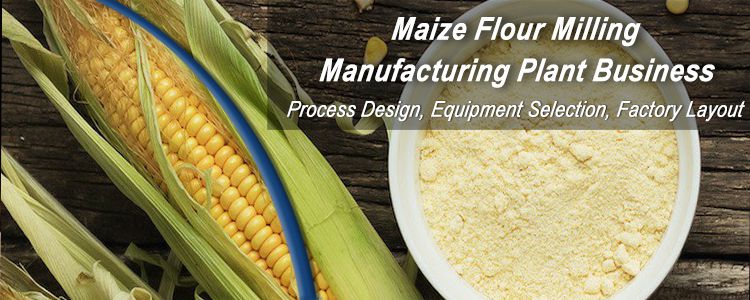 10 TPD Maize Flour Milling Plant Invest in Tanzania