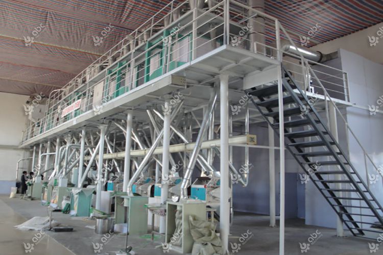 100T Wheat Flour Plant in Somaliland