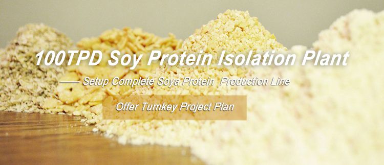 100TPD Soybean Protein Isolate Production Plant Built in Ethiopia