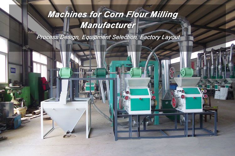 10TPD Maize Flour Processing Plant in Chad