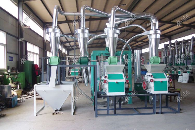 10 TPD flour mill machine in India