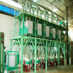 40 flour mill plant
