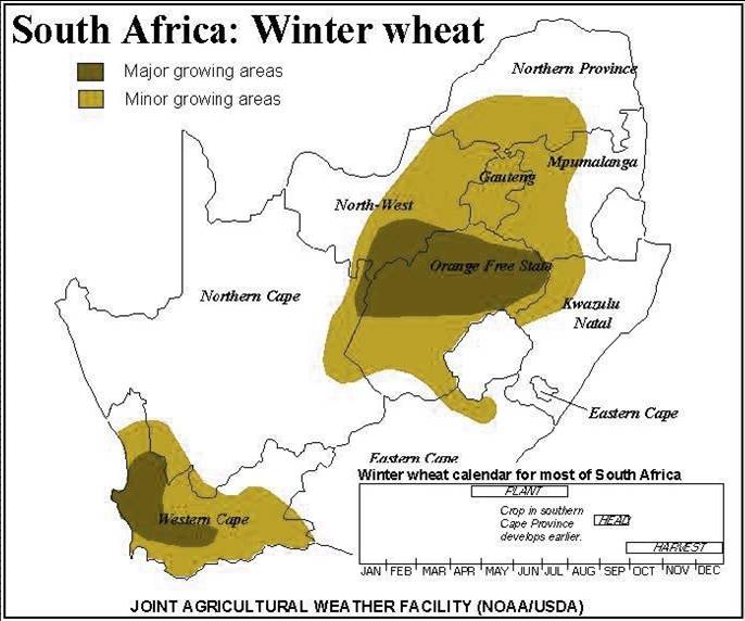 South Africa wheat