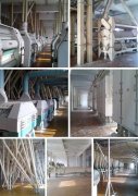 the classification and design of bridge crane hook