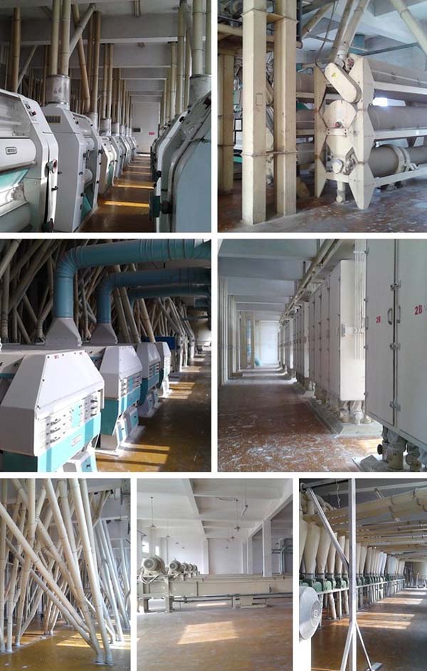 500T Flour Milling Plant Turnkey Project Show