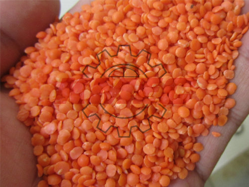 processed lentil