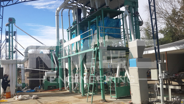 30T wheat flour mill project in Chile