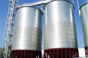 Cavalry Lux Group Storage Silo Project