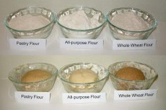 Types of Wheat Flour