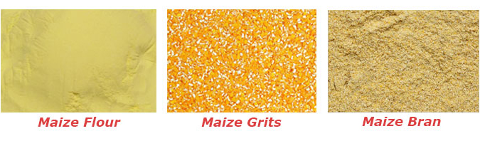 maize flour production