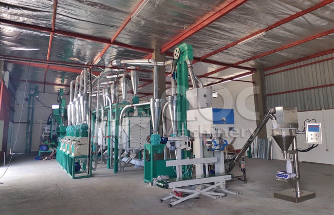 20t maize flour mill plant