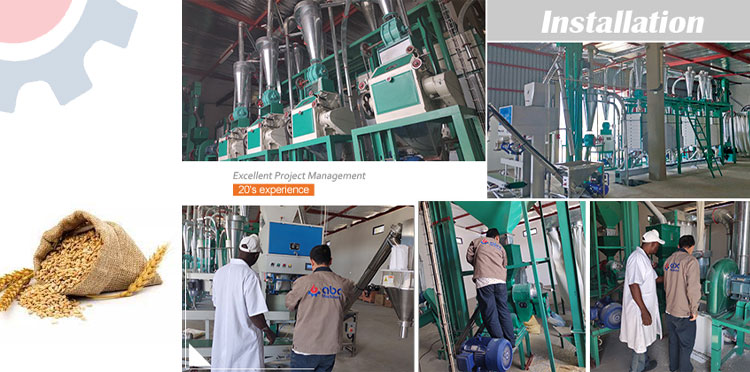 Completely Wheat Milling Unit Plant Business in India