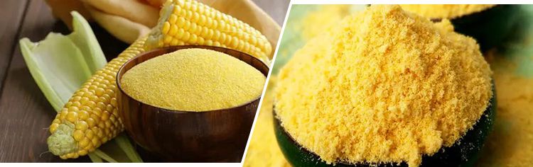 Start A Corn Flour Milling Machine Business