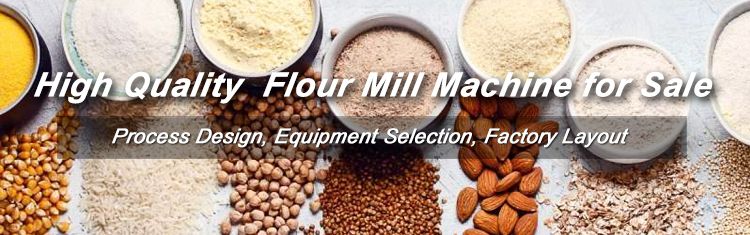 All Kinds of Grain Flour Mills Supplier