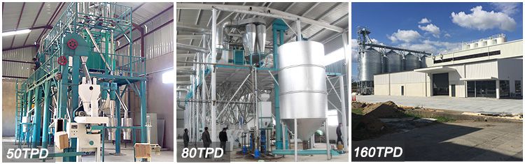 Automatic Flour Mill Plant  Equipment & Cost