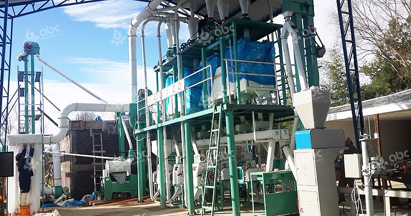 Cost Efficiency 30TPD Wheat Flour Milling Equipment