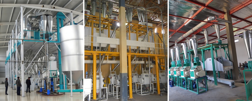 profitable flour milling plant layout low cost
