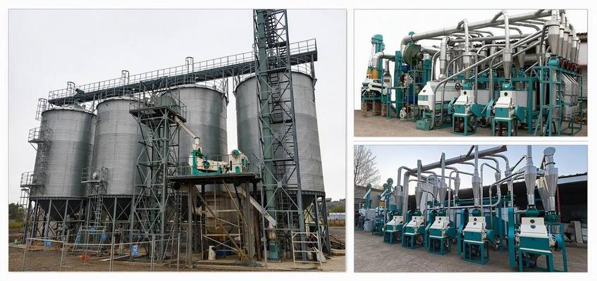 successful flour milling plant at low price 