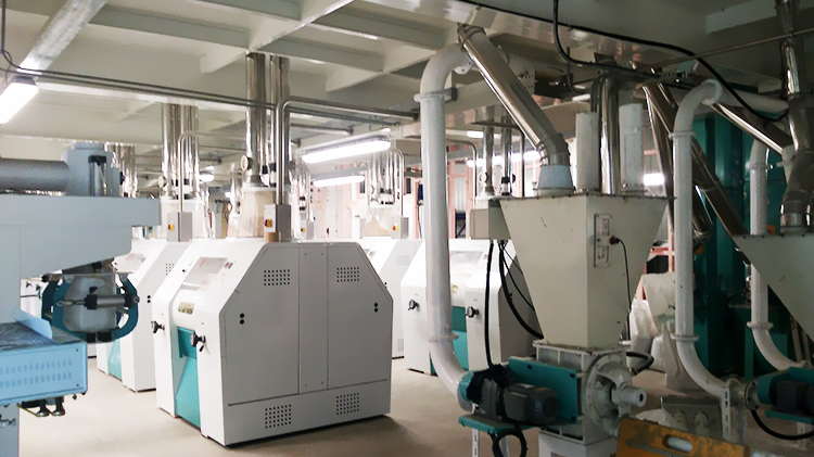 Fully Automatic Wheat Flour Mill Plant