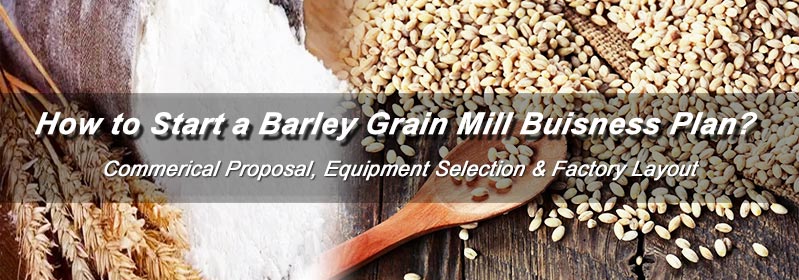 Start a Barley Grain Mill Buisness Plan