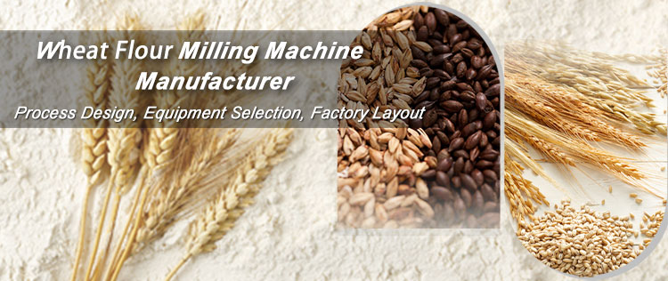Investing Wheat Flour Milling Machine Manufacturer in China