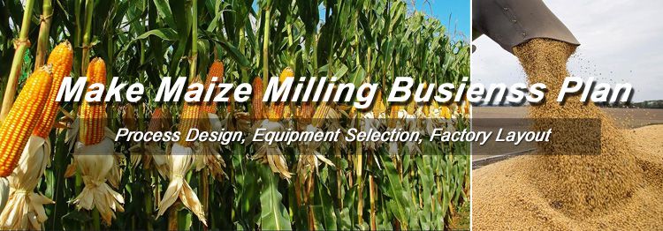 Low cost maize milling business plan for sale factory layout