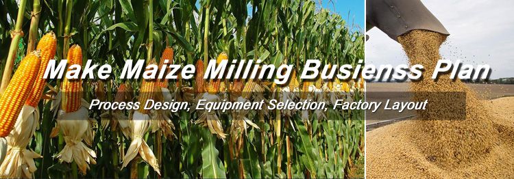 maize production business plan pdf