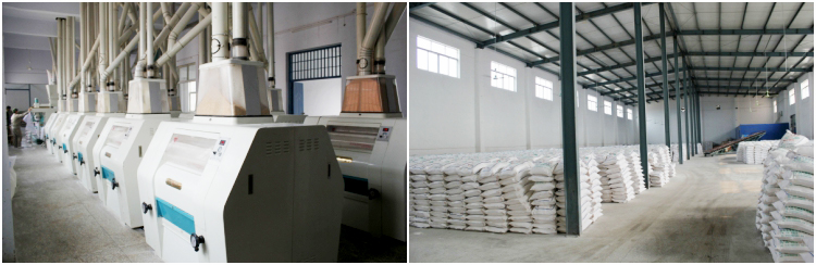 Maize Flour Milling Machine Manufacturing Factory