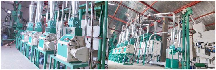 Maize Flour Milling Plant Projects