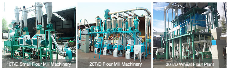 mini flour mill plant