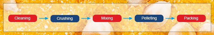 Processing of samll scale maize/corn flour mill machine