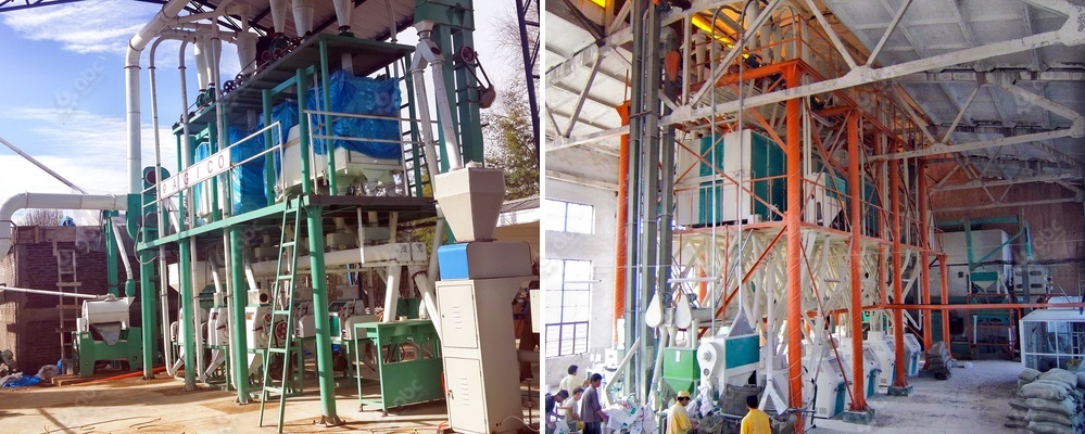 compelete profitable flour mill machine