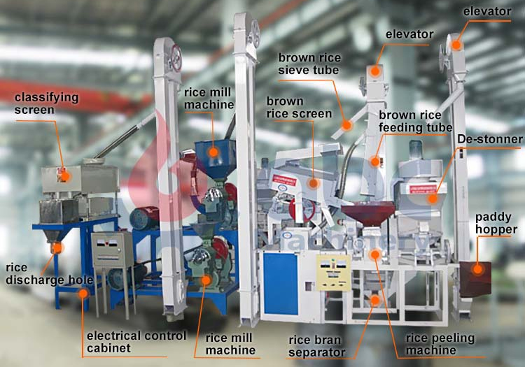 Rice Milling Equipment & Processing Services