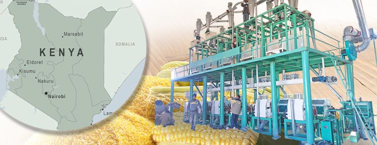 Setup Maize Flour Milling Plant in Kenya