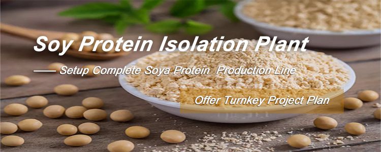 Setup A Soy Protein Isolate Powder Plant