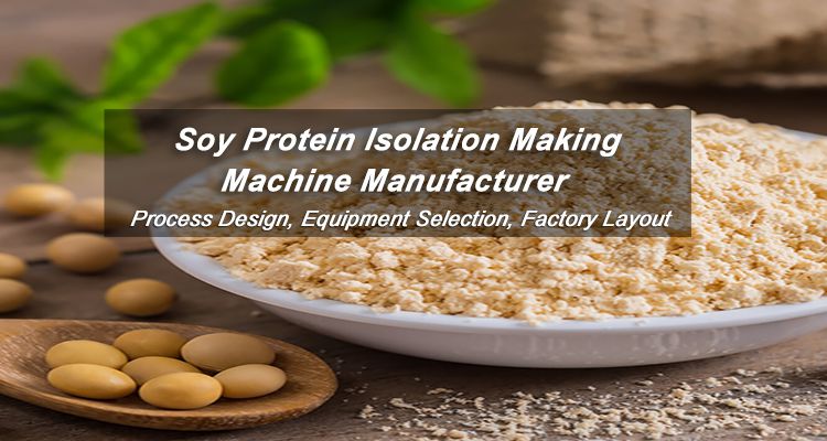 Investment Business丨How Much Protein in Soya Bean Cost?