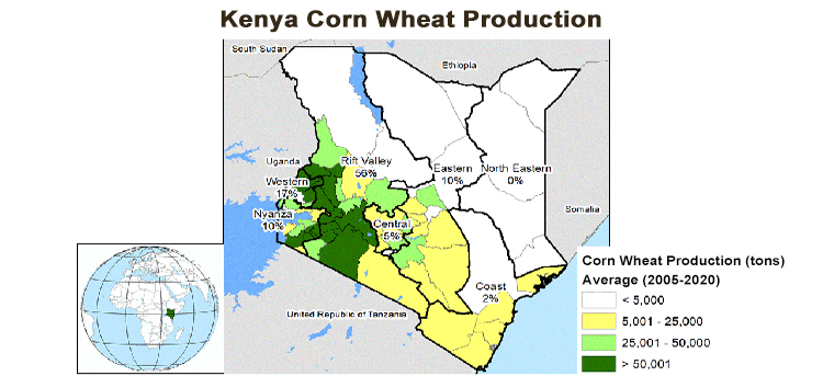 Start Flour Milling Business in Kenya