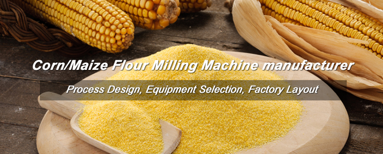 Start Maize Flour Milling Business