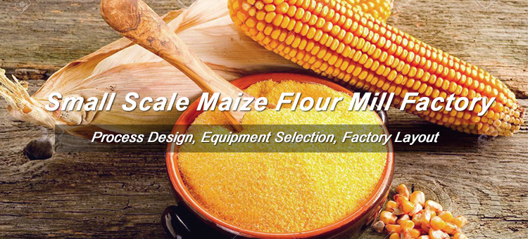 Start Up Maize Flour Milling Business
