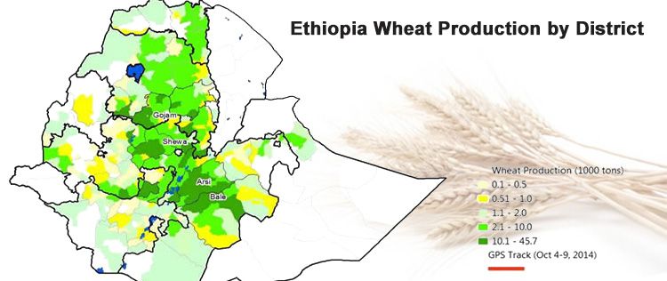 The Market for Wheat Flour Mills in Ethiopia