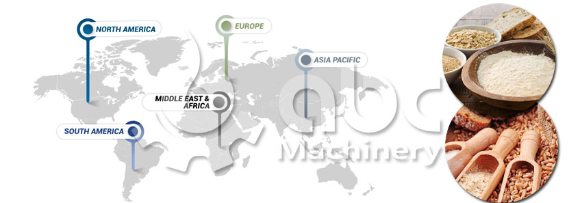Medium-Large Wheat Flour Mill Market Positioning - TPD Capacity & Product Mix Guide
